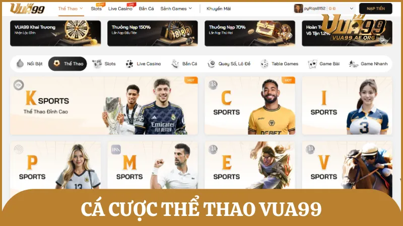 Cá cược thể thao tại nhà cái cung cấp đa dạng tất cả các bộ môn nổi bật nhất