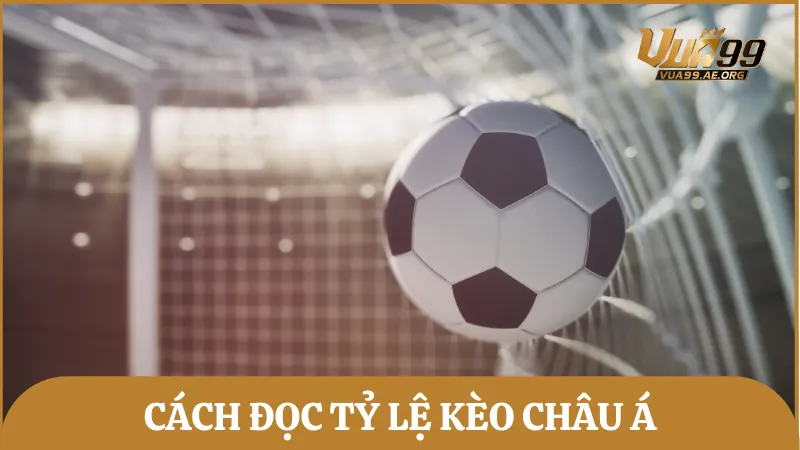 Cách đọc tỷ lệ kèo bóng đá châu Á chuẩn xác cho người mới nhập môn