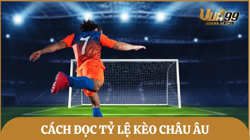 Hướng dẫn cách đọc kèo châu Âu (1x2) chi tiết cho tân binh