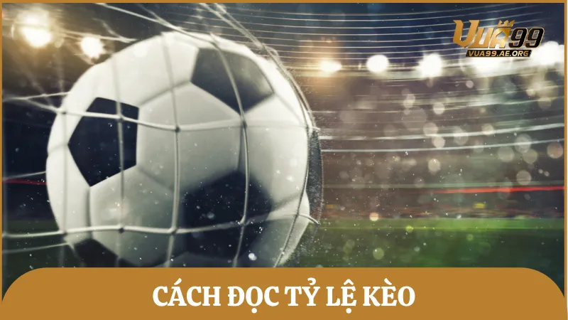 cách đọc tỷ lệ kèo