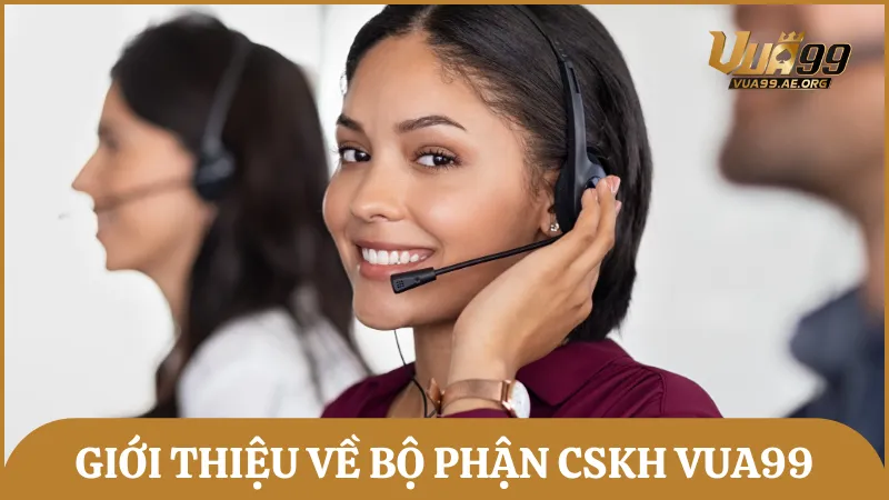Bộ phận CSKH Vua99 – Cam kết hỗ trợ 24/7