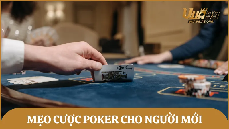 Chia sẻ kinh nghiệm cược hay dành cho tân binh mới bắt đầu