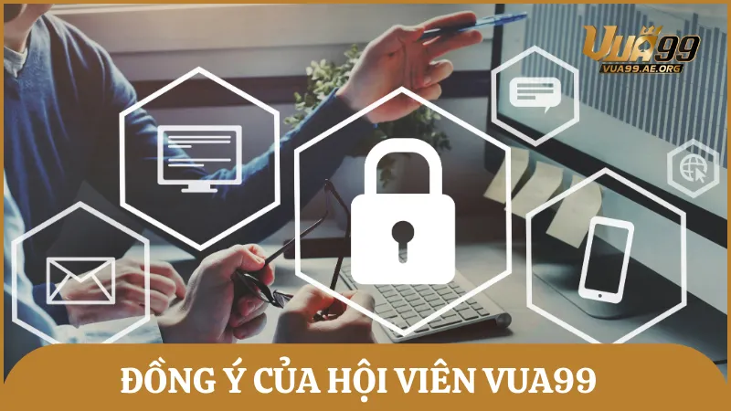 Quá trình thu thập thông tin cá nhân trên Vua99 luôn có sự đồng ý của hội viên